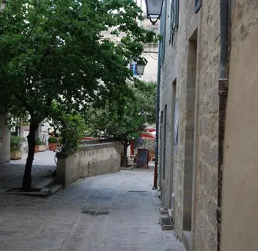 Guest house Le Richelieu